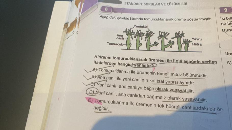 STANDART SORULAR VE ÇÖZÜMLERİ
6
Aşağıdaki şekilde hidrada tomurcuklanarak üreme gösterilmiştir.
Ana
canlı
Tomurcuk-
Tentakül
Yavru
Hidra
9
İki bith
de bir
Buna
Hidranın tomurcuklanarak üremesi ile ilgili aşağıda verilen
ifadelerden hangisi yanlıstır?
A) To