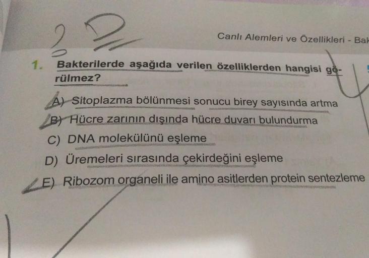 1. 22 Bakterilerde aşağıda verilen özelliklerden ha… Biyoloji 1. 22 Bakterilerde aşağıda verilen özelliklerden ha… Biyoloji