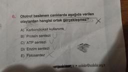 6. Ototrof beslenen canlılarda aşağıda verilen
olaylardan hangisi ortak gerçekleşmez? X
A) Karbondioksit kullanımı
B) Protein sentezi U
C) ATP sentezi U
D) Enzim sentezi
E) Fotosentez
g.tr ozdebir@ozdebir.org.tr