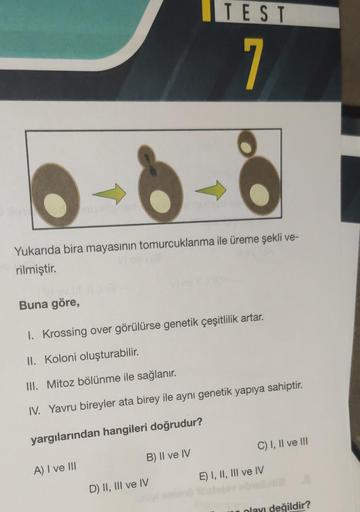 8
Yukarıda bira mayasının tomurcuklanma ile üreme şekli ve-
rilmiştir.
Buna göre,
1. Krossing over görülürse genetik çeşitlilik artar.
II. Koloni oluşturabilir.
III. Mitoz bölünme ile sağlanır.
IV. Yavru bireyler ata birey ile aynı genetik yapıya sahiptir.