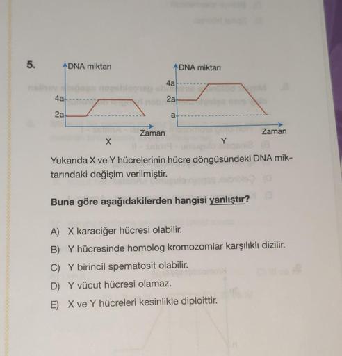 5.
ADNA miktarı
4a----
2a
Zaman
4a
2a
a
DNA miktarı
Zaman
X
Y
Yukarıda X ve Y hücrelerinin hücre döngüsündeki DNA mik-
tarındaki değişim verilmiştir.
Buna göre aşağıdakilerden hangisi yanlıştır?
A) X karaciğer hücresi olabilir.
B) Y hücresinde homolog krom