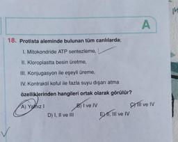 18. Protista aleminde bulunan tüm canlılarda;
1. Mitokondride ATP sentezleme, L
II. Kloroplastta besin üretme,
III. Konjugasyon ile eşeyli üreme,
IV. Kontraktil koful ile fazla suyu dışarı atma
özelliklerinden hangileri ortak olarak görülür?
B) I ve IV
A) Yalnız I
D) I, II ve III
EXT, III ve IV
A
Cill ve IV
14