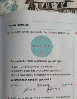 H
VE
TYT/FEN BİLİMLERİ
15. Aşağıdaki şekilde bölünmekte olan bir hücre gösterilmiştir.
XXXXX
Buna göre bu hücre ve bölünme şekliyle ilgili,
1. 2n = 10 kromozomlu bir hücre olabilir.
II. Bölünme öncesinde DNA kendini eşlemiştir.
III. n = 5 kromozomlu bir hücrenin mitoz bölünmesi olabilir.
yorumlarından hangileri yapılabilir?
A) Yalnız I
BY Yalnız III
DY II ve III
16. Aşağıdaki sekilde X, Y ve Z maddelerinin hücre zarından
E), II ve III
10
18
C) I ve Il 19