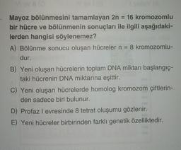 Mayoz bölünmesini tamamlayan 2n 16 kromozomlu
bir hücre ve bölünmenin sonuçları ile ilgili aşağıdaki-
lerden hangisi söylenemez?
A) Bölünme sonucu oluşan hücreler n = 8 kromozomlu-
dur.
B) Yeni oluşan hücrelerin toplam DNA miktarı başlangıç-
taki hücrenin DNA miktarına eşittir.
C) Yeni oluşan hücrelerde homolog kromozom çiftlerin-
den sadece biri bulunur.
D) Profaz I evresinde 8 tetrat oluşumu gözlenir.
E) Yeni hücreler birbirinden farklı genetik özelliktedir.