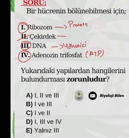 SORU:
Bir hücrenin bölünebilmesi için;
Protein
1. Ribozom
II. Çekirdek
DNA->önetici
IV. Adenozin trifosfat (ATP)
Yukarıdaki yapılardan hangilerini
bulundurması zorunludur?
A) I, II ve III
B) I ve III
C) I ve II
D) I, III ve IV
E) Yalnız III
Birolaj I
Biyoloji Bilen