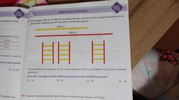 you
tabloda gösterilmiştir.
elik Konaklama Ücreti
Ücretsiz
150 TL
400 TL
mmamaktadır. Ancak 18
cede bu otelin günlük
D) 12000
Ona aşağıdaki reçe-
Doğal Sayılar Problemleri
SINIF
245. Bir marangoz 2400 cm ve 3000 cm uzunluğundaki sarı ve kırmızı renkli ahşapların kalınlıklarını de-
ğiştirmeden aşağıdaki gibi dört basamaklı merdivenler yapıyor.
2400 cm
3000 cm
yoh
you
HH H
Bu merdivenler sarı ahşaptan 50 cm, kırmızı ahşaptan 100 cm uzunluğunda eş parçalar kesilerek
yapılmıştır.
Buna göre marangoz elindeki malzeme ile en çok kaç tane merdiven yapmıştır?
A) 10
B) 12
C) 15
246. Aşağıdaki tabloda bir kentin aylık ortalama sıcaklıklarından bazıları verilmiştir.
D) 16
35