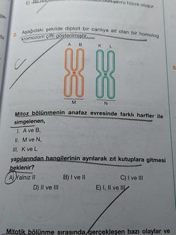 ge
bi
2.
E) Bir Hill
Aşağıdaki şekilde diploit bir canlıya ait olan bir homolog
kromozom çifti gösterilmiştir.
A B
D) II ve III
yavru hücre oluşur.
K L
XX
M
N
Mitoz bölünmenin anafaz evresinde farklı harfler ile
simgelenen,
I. A ve B,
II. M ve N,
III. K ve L
yapılarından hangilerinin ayrılarak zıt kutuplara gitmesi
beklenir?
A) Yalnız II
B) I ve II
C) I ve III
E) I, II ve III
Mitotik bölünme sırasında gerçekleşen bazı olaylar ve
5