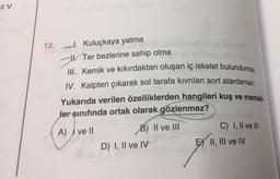 ZV
12.
J. Kuluçkaya yatma
1. Ter bezlerine sahip olma
III. Kemik ve kıkırdaktan oluşan iç iskelet bulundurma
IV. Kalpten çıkarak sol tarafa kıvrılan aort atardamarı
Yukarıda verilen özelliklerden hangileri kuş ve memeli-
Jer sınıfında ortak olarak gözlenmez?
A) ve ll
B) II ve III
D) 1, II ve IV
C) I, II ve Ill
EX II, III ve IV