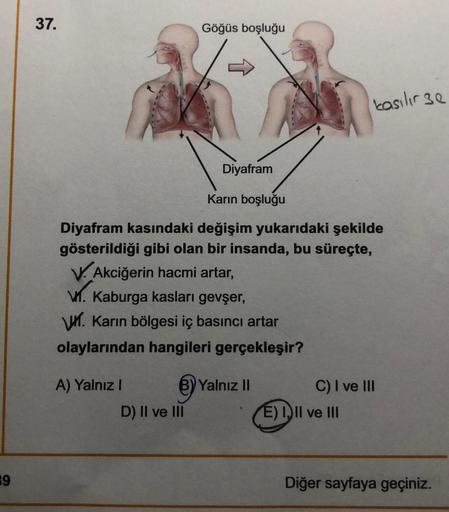 39
37.
A) Yalnız I
Göğüs boşluğu
Diyafram
Karın boşluğu
Diyafram kasındaki değişim yukarıdaki şekilde
gösterildiği gibi olan bir insanda, bu süreçte,
V. Akciğerin hacmi artar,
V. Kaburga kasları gevşer,
V. Karın bölgesi iç basıncı artar
olaylarından hangil