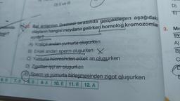 rasında
leşir?
6. B
D) Il ve III
Bal arılarının üremesi sırasında gerçekleşen aşağıdaki
olayların hangisi meydana gelirken homolog kromozomlar
ayrılır?
A) Kraliçe andan yumurta oluşurken
B) Erkek arıdan sperm oluşurken X
C) Yumurta hüeresinden erkek arı oluşurken
D) Zigotten işçi arr oluşurken
E Sperm ve yumurta birleşmesinden zigot oluşurken
7.B 8. B
9. A 10. E 11. E 12. A
D)
E)
3. Mis
ev
A)
B)
C