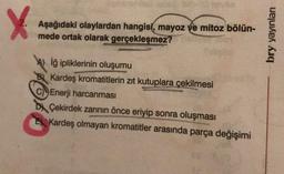 X
Aşağıdaki olaylardan hangisi, mayoz ve mitoz bölün-
mede ortak olarak gerçekleşmez?
İğ ipliklerinin oluşumu
Kardeş kromatitlerin zıt kutuplara çekilmesi
Enerji harcanması
DÇekirdek zarının önce eriyip sonra oluşması
Kardeş olmayan kromatitler arasında parça değişimi
bry yayınları