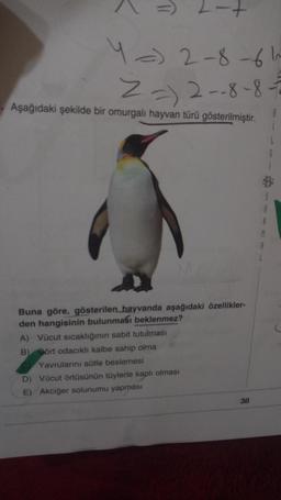 4 2-8-61
2)2--8-8-2
2-+
Aşağıdaki şekilde bir omurgalı hayvan türü gösterilmiştir.
Buna göre, gösterilen hayvanda aşağıdaki özellikler-
den hangisinin bulunması beklenmez?
A) Vücut sıcaklığının sabit tutulması
B) Dört odacıklı kalbe sahip olma
Yavrularını sütle beslemesi
D) Vücut örtüsünün tüylerle kaplı olması
E) Akciğer solunumu yapması
38
A
A
8
L
G
C
