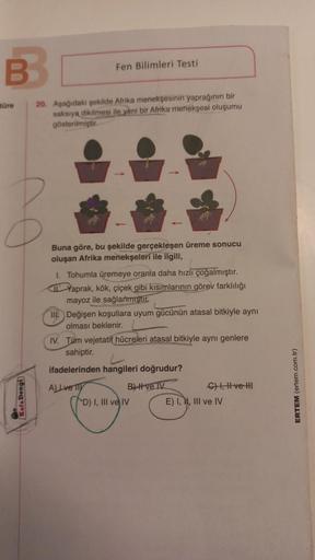 B
türe 20. Aşağıdaki şekilde Afrika menekşesinin yaprağının bir
saksıya dikilmesi ile yeni bir Afrika menekşesi oluşumu
gösterilmiştir.
Kafa Dengi
Fen Bilimleri Testi
Buna göre, bu şekilde gerçekleşen üreme sonucu
oluşan Afrika menekşeleri ile ilgili,
1. T