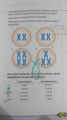 2.
Canlılarda bir takım kromozom taşıyan hücrelere haploit, iki
takım kromozom taşıyan hücrelere ise diploit hücre denir.
Haploit hücre n,diploit hücre 2n ile gösterilir.
Farklı sayıda takım kromozom taşıyan hücreler aşağıda
gösterilmiştir.
CAP
XX
naploit