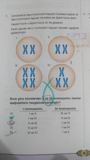 2.
Canlılarda bir takım kromozom taşıyan hücrelere haploit, iki
takım kromozom taşıyan hücrelere ise diploit hücre denir.
Haploit hücre n,diploit hücre 2n ile gösterilir.
Farklı sayıda takım kromozom taşıyan hücreler aşağıda
gösterilmiştir.
CAP
XX
naploit
