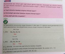 SANER
Bezelyelerde sarı tohum geni yeşil tohum genine baskındır. Homozigot sarı tohumlu bezelye
ile yeşil tohumlu bezelyenin çaprazlanmasıyla oluşan f, dölünün kendileştirmesiyle oluşan f₂
dölünde;
a) Yeşil tohumlu bezelye oluşma ihtimali kaçtır?
b) Homozigot genotipli bezelye oluşma ihtimali kaçtır?
c) Kaç çeşit genotip oluşabilir?
Çözüm
İlk çaprazlama sonucunda oluşan bireylere f1 dölü denir. F1 dölünün kendi genotipinden bir bi-
reyle çaprazlaması (kendileştirilmesi) sonucu oluşan bireylere f2 dölü denir.
f, dölü
f₂ dölü
AA X aa
Aa, Aa, Aa, Aa
Sari
f1 X f1
Aa X Aa
AA, Aa, Aa, aa
Sari Yeşil
a) f, dölünde 1/4 oranında yeşil tohumlu bezelye oluşabilir.
b) AA ve aa genotipine sahip bireyler homozigot genotiplidir. Bu yüzden 2/4 = 1/2
c) f₂ dölünde 3 çeşit genotip oluşabilir (AA, Aa, aa)