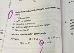 eşti-
rda
3-
NITELIK Y
Kertenkelenin kopan kuyruğunu yenilemesi sıra
sında;
1. DNA eşlenmesi
II. ATP harcanması
III. Krossing over olması
IV. Kalıtım materyalinin aynen korunması
V. Segmentasyon
olaylarından hangileri gerçekleşir?
A) Yalnız I
B) I, III ve V
D) III ve IV
C) II, III ve v
E), II ve IV
A) Yal
2. Vüca
lem!
reyi
sidi
A) S