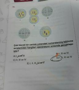 15.
(XXX)
I
IV
XX
A) I, ve III
C) II, III ve IV
XX
||
4
V
E) I, II, III, IV ve V
{}
Çok hücreli bir canlıda yukarıdaki numaralanmış bölünme
evrelerinden hangileri rejenerasyon sırasında gerçekleşe-
bilir?
1
B) I, III ve IV
D) I, II, III ve IV