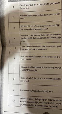 1
2
3
4
8
10
5
Eşeyli üremeye göre kısa sürede gerçekleşen
üreme şekli
Canlının kopan veya kesilen kısımlarının onarıl-
ması
Hücrenin birinci bölünme sonundan ikinci bölün-
me sonuna kadar geçirdiği dönem
Hücrenin zıt kutuplarına doğru hareket eden kar-
deş kromatitlerin kromozom olarak adlandırıldığı
evre
Ana canlının vücudunda oluşan çıkıntının yeni
yavru canlıyı meydana getirmesi
Vücut hücrelerinde kromozom sayısını sabit tu-
tan bölünme
Sitoplazma bölünmesinde orta lamel oluşumunun
görüldüğü hücre tipi
Hücre döngüsünün mitozla eş zamanlı gerçekle-
şen evresi
Hücrenin bölünmeye hazırlandığı evre
Çekirdek zarının belirginleştiği, kromozomların
kromatine dönüştüğü, yeni çekirdeklerin oluştu-
ğu, mikrotübüllerin kaybolduğu mitoz evresi