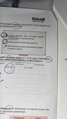 Kemal öğretmen, canlıların ortak özellikleri ile ilgili aşağıdaki bilgi-
eri akıllı tahtaya yansıtmıştır.
: Canlının kendine özgü kompleks organik
madde üretiminin gerçekleşmesi
L Karbondioksit özümlemesi yapılması
M: Biyokimyasal olayların devamlılığı için gerek-
li enerjinin üretimi
UZMAN
YAYINLARI
D) K ve L
a göre, yukarıda verilen K, L ve M ortak özelliklerinden
ileri sadece ototrof beslenen canlılara özgüdür?
Iniz K
B) Yalnız L
Movil (3
COE) L ve M
pigumos
apibro anellone
WYSH
lo qrisa ani
Vixois
aneminde enung sop
7
inlib ennetamlo bour dog eyev xe gehtri Il
so bile sisliqoy hesnad avay sprumo instin
ateraliasy grög an
Incintomic BY emibnsfrua s16p onhclignent
EsmisY (A
Sitoplazma
C) Yalnız M
100 Isma
and the bigny
and su
Il evi (@
tabloda hücre sitoplazması ve ortamda bulunan bazı
in yoğunlukları gösterilmiştir.
Ortam
8