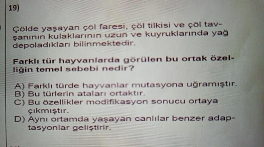 19)
Çölde yaşayan çöl faresi, çöl tilkisi ve çöl tav-
şanının kulaklarının uzun ve kuyruklarında yağ
depoladıkları bilinmektedir.
Farklı tür hayvanlarda görülen bu ortak özel-
liğin temel sebebi nedir?
A) Farklı türde hayvanlar mutasyona uğramıştır.
B) Bu