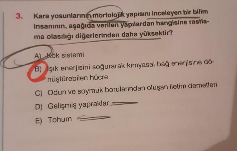 3.
Kara yosunlarını morfolojik yapısını inceleyen bir bilim
insanının, aşağıda verilen yapılardan hangisine rastla-
ma olasılığı diğerlerinden daha yüksektir?
A) Kök sistemi
AND OM
B) şık enerjisini soğurarak kimyasal bağ enerjisine dö-
'nüştürebilen hücre