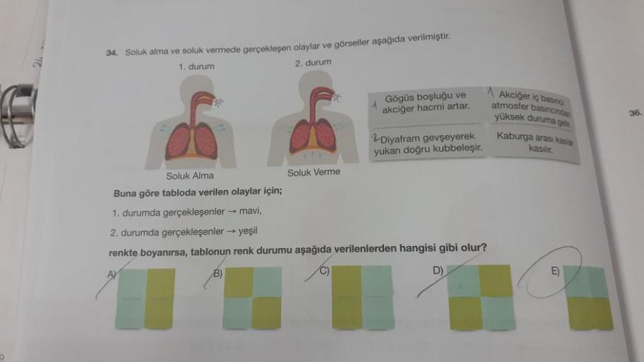 34. Soluk alma ve soluk vermede gerçekleşen olaylar ve görseller aşağıda verilmiştir.
1. durum
2. durum
-
Soluk Alma
Buna göre tabloda verilen olaylar için;
A
250
Soluk Verme
1
Gögüs boşluğu ve
akciğer hacmi artar.
2Diyafram gevşeyerek
yukarı doğru kubbele