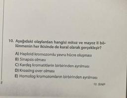 10. Aşağıdaki olaylardan hangisi mitoz ve mayoz Il bö-
lünmenin her ikisinde de kural olarak gerçekleşir?
A) Haploid kromozomlu yavru hücre oluşması
B) Sinapsis olması
C) Kardeş kromatitlerin birbirinden ayrılması
D) Krossing over olması
E) Homolog kromozomların birbirinden ayrılması
10. SINIF