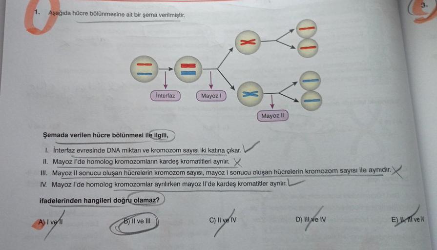 1. Aşağıda hücre bölünmesine ait bir şema verilmiştir.
A) I vell
interfaz
B) II ve III
Mayoz I
X
Şemada verilen hücre bölünmesi ile ilgili,
1. İnterfaz evresinde DNA miktarı ve kromozom sayısı iki katına çıkar.
II. Mayoz I'de homolog kromozomların kardeş k