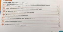 Aşağıdaki ifadeler doğruysa "D", yanlışsa "Y" yazınız.
Mayoz bölünme sonucu kromozom sayısının yarıya inmesi eşeyli üreyen canlılarda tür içi kromozom
sayısının sabit kalmasını sağlar.
Mayoz sonucu oluşan hücrelerin DNA nükleotit dizilimleri birbirinden farklı olabilir.
e.
f.
g.
a.
b.
d.
ETKINLIK-1
Bir canlı türünde diploit kromozomlu her hücre mayoz geçirebilir.
Mayoz sonucu oluşan bir hücre mayoz geçiremez.
İnsanda mayoz bölünme doğum ile başlar ölene kadar devam eder.
Bakteriler mayoz bölünme geçiremez.
Vücut hücrelerinde mayoz bölünme görülmez.
P