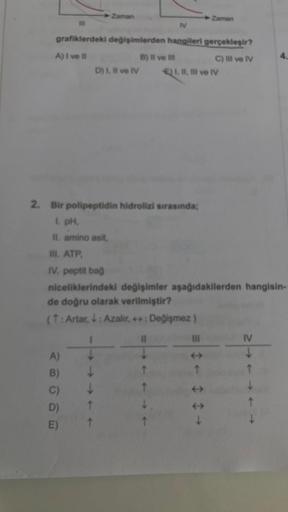 A)
B)
C)
D)
E)
Zaman
grafiklerdeki değişimlerden hangileri gerçekleşir?
A) I ve Il
C) III ve IV
↓
↑
↑
D) I, II ve IV
N
B) II ve III
2. Bir polipeptidin hidrolizi sırasında;
1. pH,
II. amino asit,
III. ATP,
IV. peptit bağ
niceliklerindeki değişimler aşağıda