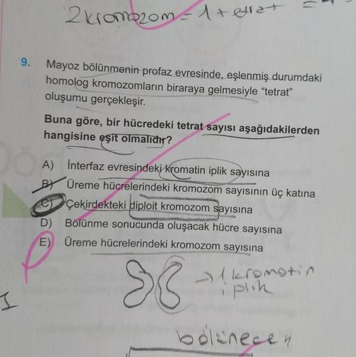 I
9.
2 kromozom=1+etra+
Mayoz bölünmenin profaz evresinde, eşlenmiş durumdaki
homolog kromozomların biraraya gelmesiyle "tetrat"
oluşumu gerçekleşir.
Buna göre, bir hücredeki tetrat sayısı aşağıdakilerden
hangisine eşit olmalıdır?
A) İnterfaz evresindeki k