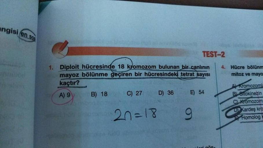 angisi en son
1. Diploit hücresinde 18 kromozom bulunan bir canlının
mayoz bölünme geçiren bir hücresindeki tetrat sayısı
kaçtır?
A) 9
B) 18
C) 27
20=18
D) 36
TEST-2
E) 54
9
4. Hücre bölünm
mitoz ve mayo
A Kromozomla
B Bitokinezin
CL Kromozom
DKardeş kro
H