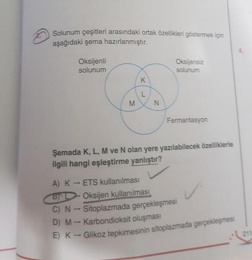 Solunum çeşitleri arasındaki ortak özellikleri göstermek için
aşağıdaki şema hazırlanmıştır.
Oksijenli
solunum
M
K
L
N
Oksijensiz
solunum
Fermantasyon
Şemada K, L, M ve N olan yere yazılabilecek özelliklerle
ilgili hangi eşleştirme yanlıştır?
A) KETS kulla