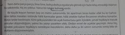 Yazın daha parça parça, lime lime, bohça bohça eşyalarıyla gitmek için fazla telaş etmediği Ada'nın
bu yakasında, hiç ev yoktur. Yalnız bir tek kır kahvesi vardır.
Bir küçük koyun hemen beş on metre yukarısında, bir apartman terası kadar ufak bu kır kahve-
sinin tahta masaları üstünde hâlâ karıncalar gezer, hâlâ sinekler kahve fincanının etrafına konarlar.
Bütün sesler kesilmiştir. Kimi gökyüzünden bir uçak homurtusu gelir. İçindeki, şimdi Yeşilköy'e inecek
yolcuları düşündüğüm, yalnız bu yazıyı yazarken oldu. Ondan evvel de uçaklar geçmişti. Ama hiç,
içindeki yolcuların Yeşilköy'e neredeyse ineceklerini, daha daha şu iki satırın sonunda inmiş bile ol-
duklarını düşünmemiştim.
tasır