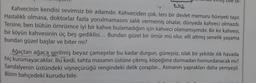 8312
Kahvecinin kendisi sevimsiz bir adamdır. Kahveciden çok, ters bir devlet memuru hüviyeti taşır.
Hastalıklı olmasa, doktorlar fazla yorulmamasını salık vermemiş olsalar, dünyada kahveci olmazdı.
Tersine, ben bütün ömrümce iyi bir kahve bulamadığım için kahveci olamamışımdır. Bir kır kahvesi,
bir köyün kahvesinin üç beş gediklisi... Bundan güzel bir ömür mü olur, elli altmış senelik yaşama
bundan güzel başlar ve biter mi?
bile ol-
Ağaçtan ağaca serilmiş beyaz çamaşırlar bu kadar durgun, güneşsiz, ıslak bir şekilde ılık havada
hiç kurumayacaklar. Bu kedi, tahta masanın üstüne çıkmış, köpeğime durmadan homurdanacak mı?
Sandalyenin üstündeki vişneçürüğü rengindeki delik çoraplar... Asmanın yaprakları daha yemyeşil.
Bizim bahçedeki kurudu bile.