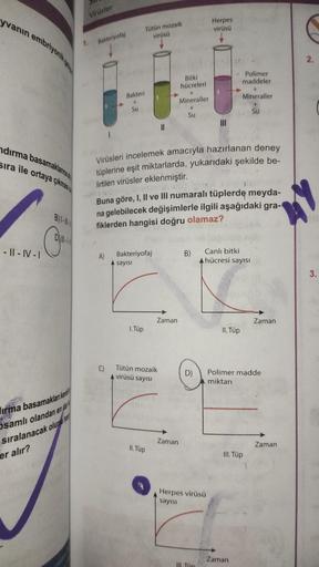 yvanın embriyonik ge
ndırma basamaklanna
Sıra ile ortaya çıkmas
-11-IV-1
B)1-11-
irma basamaklan kend
samlı olandan en da
sıralanacak olursa ha
er alır?
1.
Virüsler
Bakteriyofaj
F
Bakteri
+
Su
Tütün mozaik
virüsü
Bakteriyofaj
A sayısı
1. Tüp
Virüsleri ince