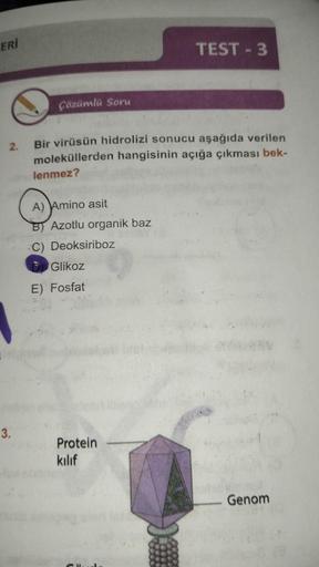 ERİ
2.
3.
Çözümlü Soru
Bir virüsün hidrolizi sonucu aşağıda verilen
moleküllerden hangisinin açığa çıkması bek-
lenmez?
A) Amino asit
B) Azotlu organik baz
C) Deoksiriboz
Glikoz
E) Fosfat
TEST-3
Protein
kılıf
Genom