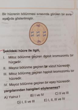 Bir hücrenin bölünmesi sırasında görülen bir evre
aşağıda gösterilmiştir.
-XX
-XX
-XX
Şekildeki hücre ile ilgili,
I. Mitoz bölünme geçiren diploit kromozomlu bir
hücredir.
II. Mayoz bölünme geçiren bir vücut hücresidir.
III. Mitoz bölünme geçiren haploit kromozomlu bir
hücredir.
IV. Mayoz bölünme geçiren bir eşey hücresidir.
yargılarından hangileri söylenemez?
A) Yalnız I
B) I ve IV
D) I, II ve III
C) II ve III
E) I, II, III ve IV