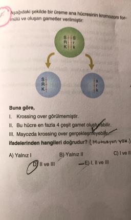 Aşağıdaki şekilde bir üreme ana hücresinin kromozom for-
mülü ve oluşan gametler verilmiştir:
A) Yalnız I
SRK
P
SS
Rr
K k
Buna göre,
1. Krossing over görülmemiştir.
II. Bu hücre en fazla 4 çeşit gamet oluşturabilir.
III. Mayozda krossing over gerçekleşmeyebilir.
ifadelerinden hangileri doğrudur? (Mutasyon yok.)
C) I ve II
DY II ve III
Au
k
B) Yalnız II
-E) I, II ve III