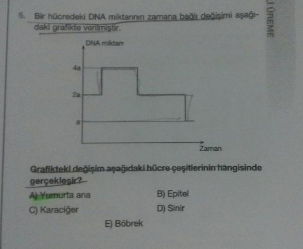 5. Bir hücredeki DNA miktarının zamana bağlı değişimi aşağı-
daki grafikte verilmiştir.
4a
2a
a
DNA miktan
Grafikteki değişim aşağıdaki hücre çeşitlerinin hangisinde
gerçekleşir?
A) Yumurta ana
C) Karaciğer
E) Böbrek
Zaman
B) Epitel
D) Sinir
I ÜREME