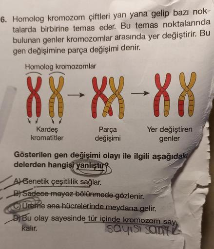 6. Homolog kromozom çiftleri yan yana gelip bazı nok-
talarda birbirine temas eder. Bu temas noktalarında
bulunan genler kromozomlar arasında yer değiştirir. Bu
gen değişimine parça değişimi denir.
Homolog kromozomlar
88-88-88
Parça
değişimi
Kardeş
kromati