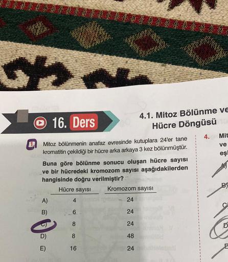 32.
16. Ders
Mitoz bölünmenin anafaz evresinde kutuplara 24'er tane
kromatitin çekildiği bir hücre arka arkaya 3 kez bölünmüştür.
Buna göre bölünme sonucu oluşan hücre sayısı
ve bir hücredeki kromozom sayısı aşağıdakilerden
hangisinde doğru verilmiştir?
Hü