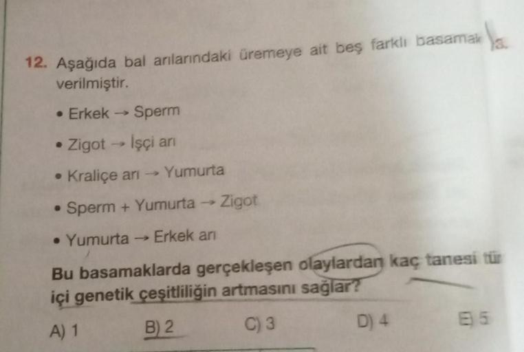 12. Aşağıda bal arılarındaki üremeye ait beş farklı basamak
verilmiştir.
• Erkek → Sperm
Zigot → İşçi arı
• Kraliçe arı →Yumurta
• Sperm + Yumurta → Zigot
• Yumurta → Erkek ar
Bu basamaklarda gerçekleşen olaylardan kaç tanesi tür
içi genetik çeşitliliğin a