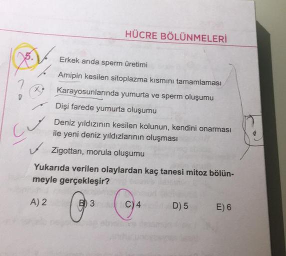 7
Cu
HÜCRE BÖLÜNMELERİ
Erkek arıda sperm üretimi
Amipin kesilen sitoplazma kısmını tamamlaması
Karayosunlarında yumurta ve sperm oluşumu
Dişi farede yumurta oluşumu
Deniz yıldızının kesilen kolunun, kendini onarması
ile yeni deniz yıldızlarının oluşması
✓