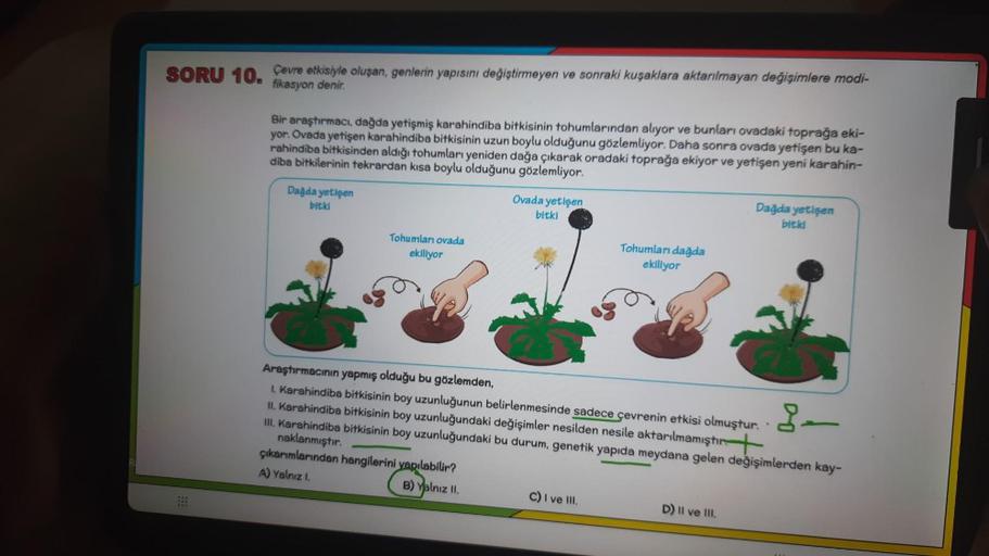 SORU 10. Çevre etkisiyle oluşan, genlerin yapısını değiştirmeyen ve sonraki kuşaklara aktarılmayan değişimlere modi-
fikasyon denir.
:::
Bir araştırmacı, dağda yetişmiş karahindiba bitkisinin tohumlarından alıyor ve bunları ovadaki toprağa eki-
yor. Ovada 