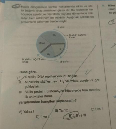 Hücre döngüsünün kontrol noktalarında siklin ve sik-
lin bağımlı kinaz proteinleri görev alır. Bu proteinler her
hücrede aynıdır ve hücrelerin büyüme döneminde mik-
tarlan hem sabit hem de inaktiftir. Aşağıdaki şekilde bu
proteinlerin çalışması özetlenmişt