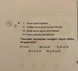 a
Forty
?
2. 1. Insan sperm hücresi
II. Kraliçe annın yumurta ana hücresi
III. Erkek arının sperm ana hücresi
IV. Insan yumurta ana hücresi
Yukarıdaki hücrelerden hangileri mayoz bölün-
me geçirebilir?
A) I ve II
B) II ve IV
D) I, II ve IV
C) III ve IV
E) II, III ve IV