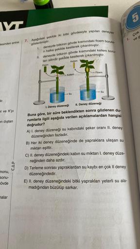 W
desinden enine
N ve K'yı
en dıştan
monu,
sonu-
övde
malar
CAP
7. Aşağıdaki şekilde iki bitki gövdesiyle yapılan deneyler
deneyde bitkinin gövde kısmındaki floem borula-
gösterilmiştir.
1.
n halka şekilde kesilerek çıkarılmıştır.
II. deneyde bitkinin gövd