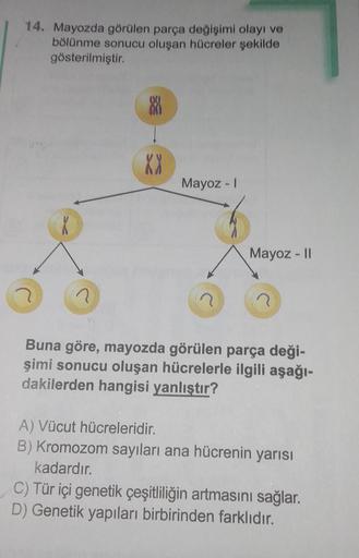 14. Mayozda görülen parça değişimi olayı ve
bölünme sonucu oluşan hücreler şekilde
gösterilmiştir.
2
8
XX
Mayoz - I
Mayoz - II
?
Buna göre, mayozda görülen parça deği-
şimi sonucu oluşan hücrelerle ilgili aşağı-
dakilerden hangisi yanlıştır?
A) Vücut hücre